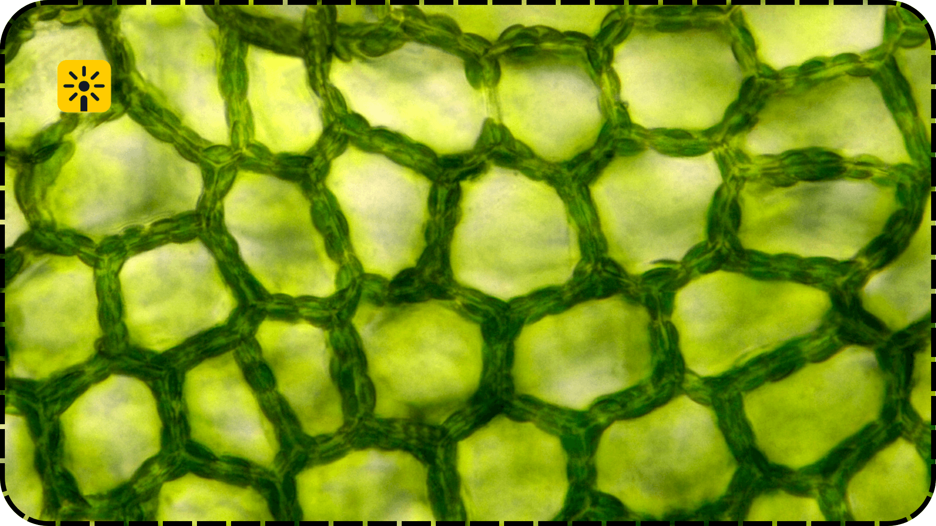 post_background
