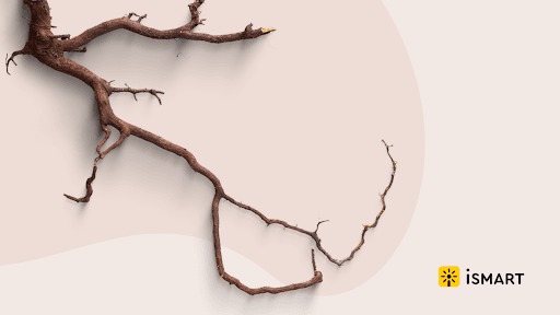 Thu, 02 May 2024 10:05:12 GMT_f23b98be-28c3-401a-9e2b-b799ba7c00cf.png